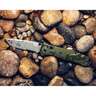 Benchmade Bailout 3.38 inch Folding Knife - Woodland Green, Partial Serrated - Woodland Green