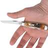 Case 6.5 Bonestag Mini Trapper 2.74 inch Folding Knife - Bonestag