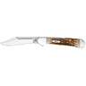 Case Peach Seed Jig Mini CopperLock 2.72 inch Folding Knife - Amber