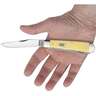 Case Trapper Pocket Knife